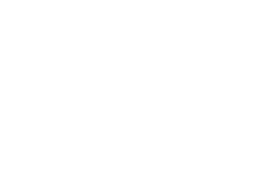 Essquire English Springer Spaniels